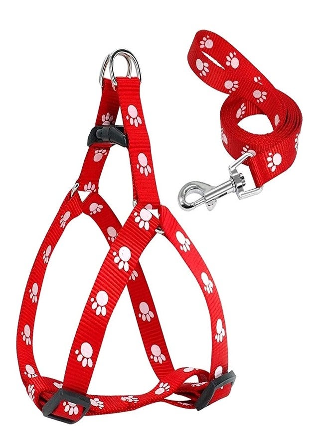 Pet Guard طوق ومقود للكلاب الصغيرة من بيت جارد، مزين بطبعة مخالب، لون أسود (قد يختلف اللون) - Image 3